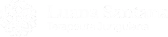 Terapeuta Junguiana